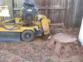 Professional tree removal and stump grinding by Anderson Tree Co, Sacramento, CA