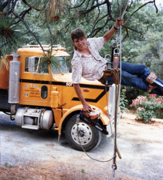 Scott Anderson, harnessed in a tree, learning the business before Anderson Tree Company, Elverta, CA